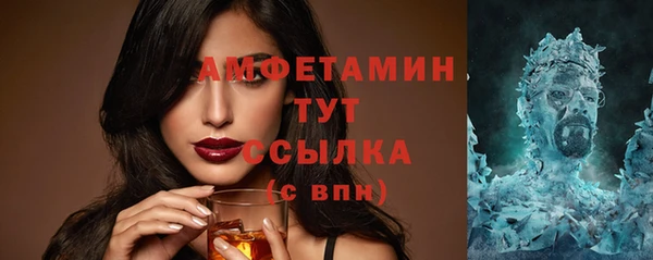 сатива Бородино