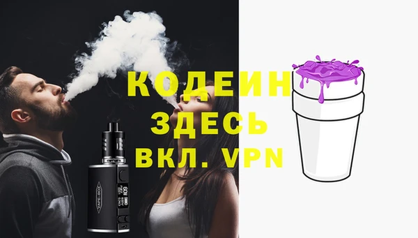 mdpv Вяземский