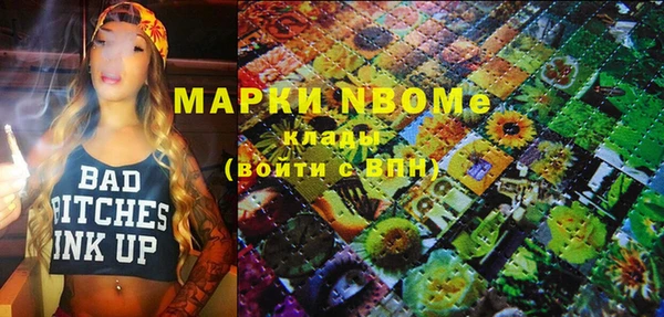mdpv Вяземский